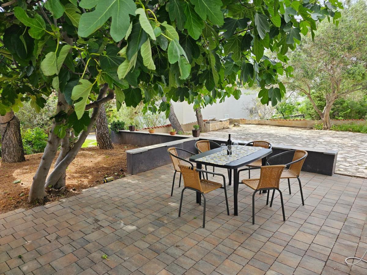 Antonia - S. Novalja Appartement